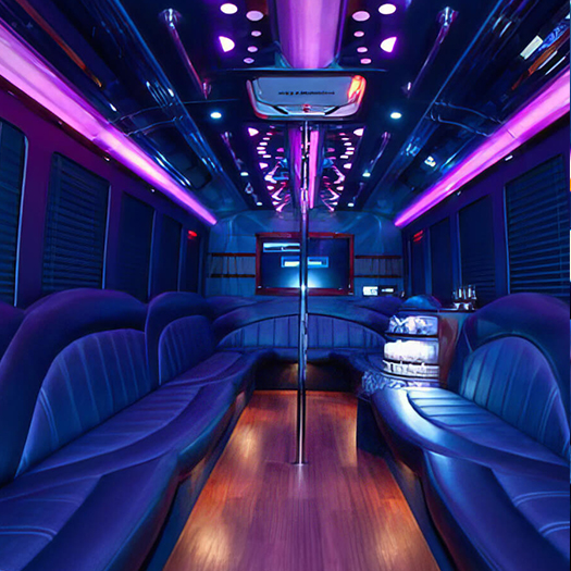 limo service St Petersburg